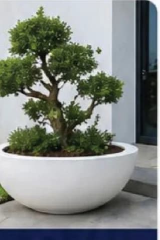 GRP Planters 5